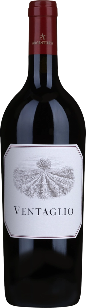 Toscana “Ventaglio” IGT Tenuta Argentiera 2015