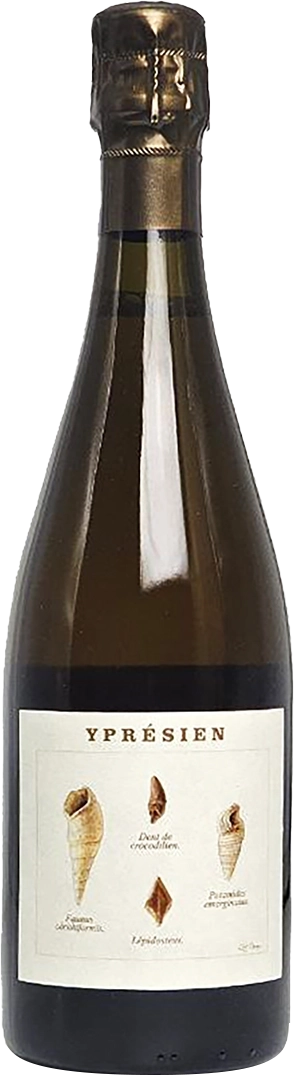 Champagne Blanc de Noirs “Yprésien” AOC Legrand-Latour NA