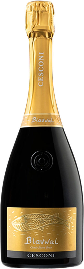 Trento DOC Extra Brut "Blauwal Cuvée" Cesconi N.A.